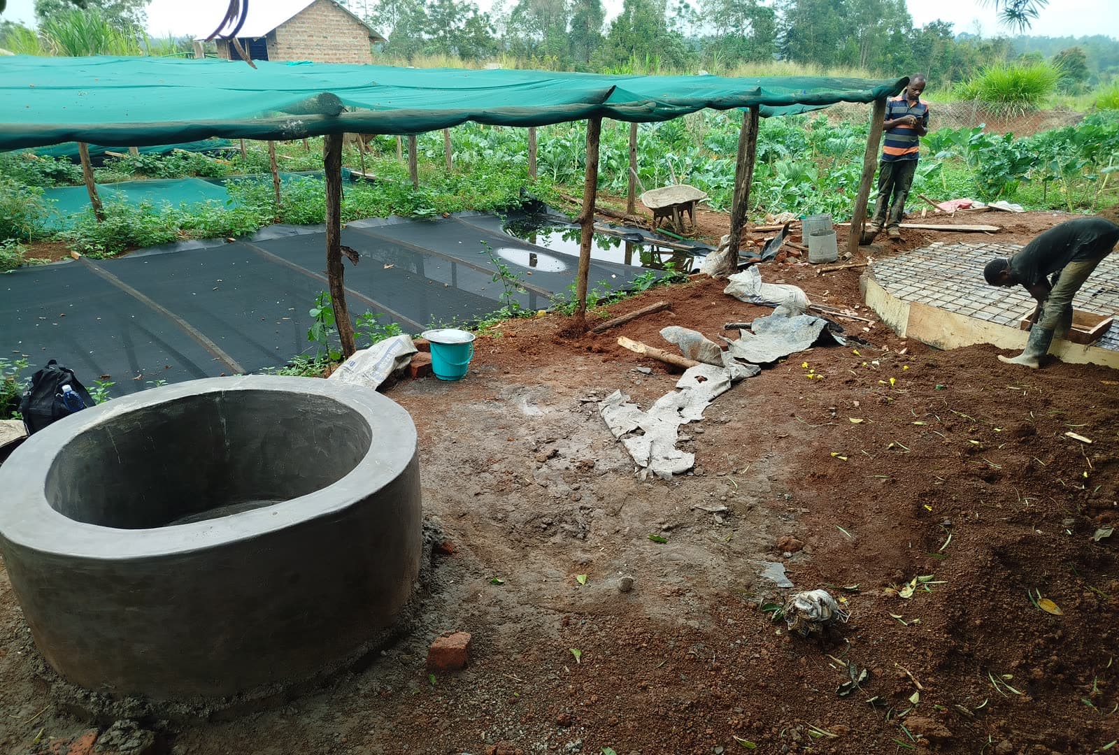 Bio-Slurry: The Fertilizer By-Product You Shouldn't Waste